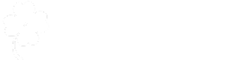 らいむ保育園